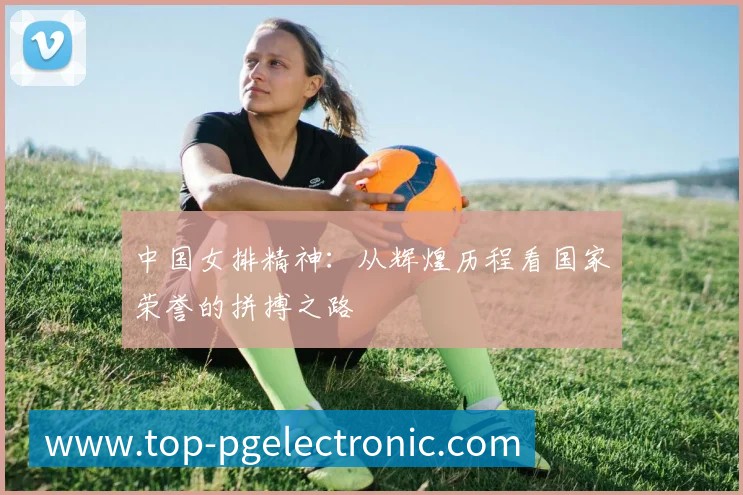 企业概况